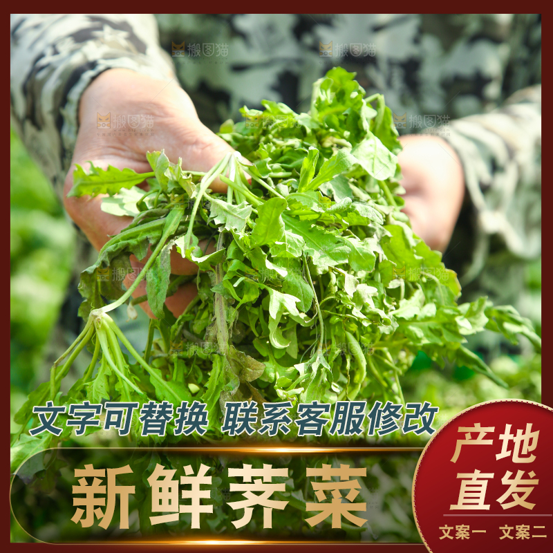 手里拿着野荠菜