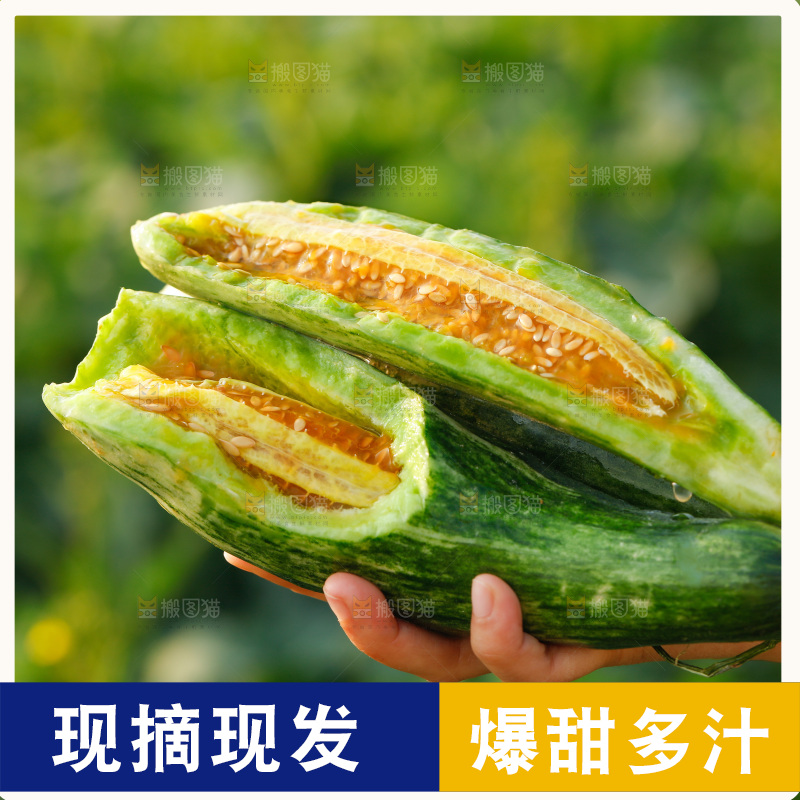手里拿着羊角蜜甜瓜