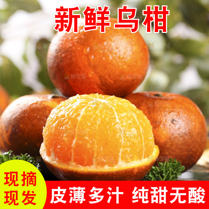 一堆新鲜乌柑
