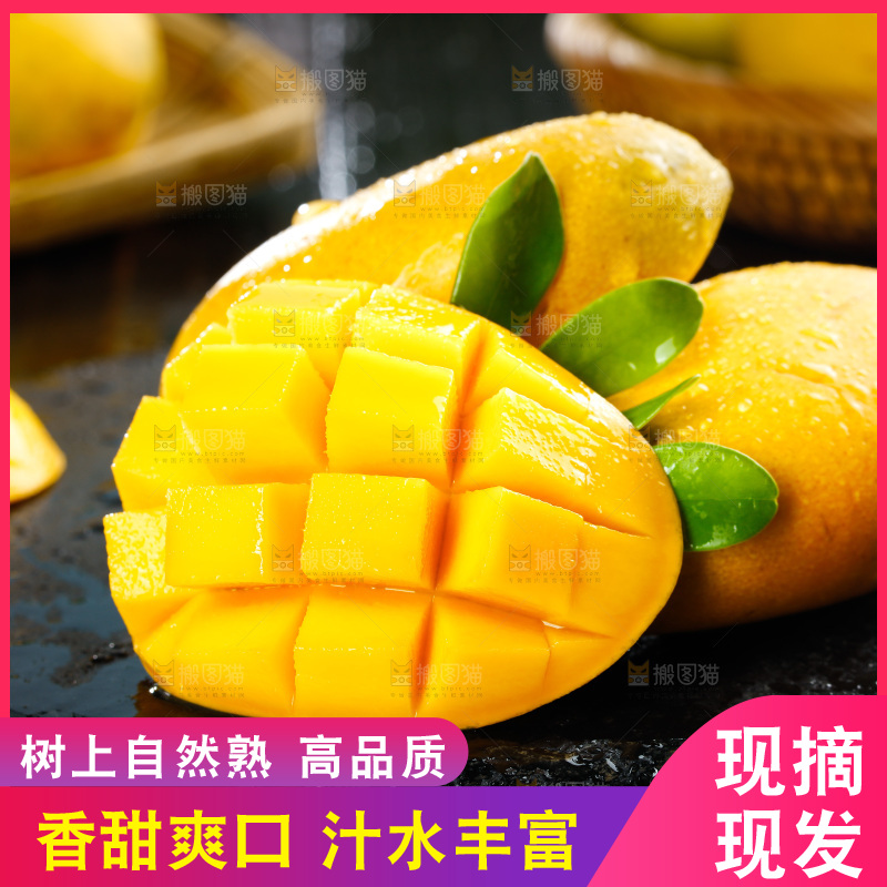 黑底上放着小台农芒果