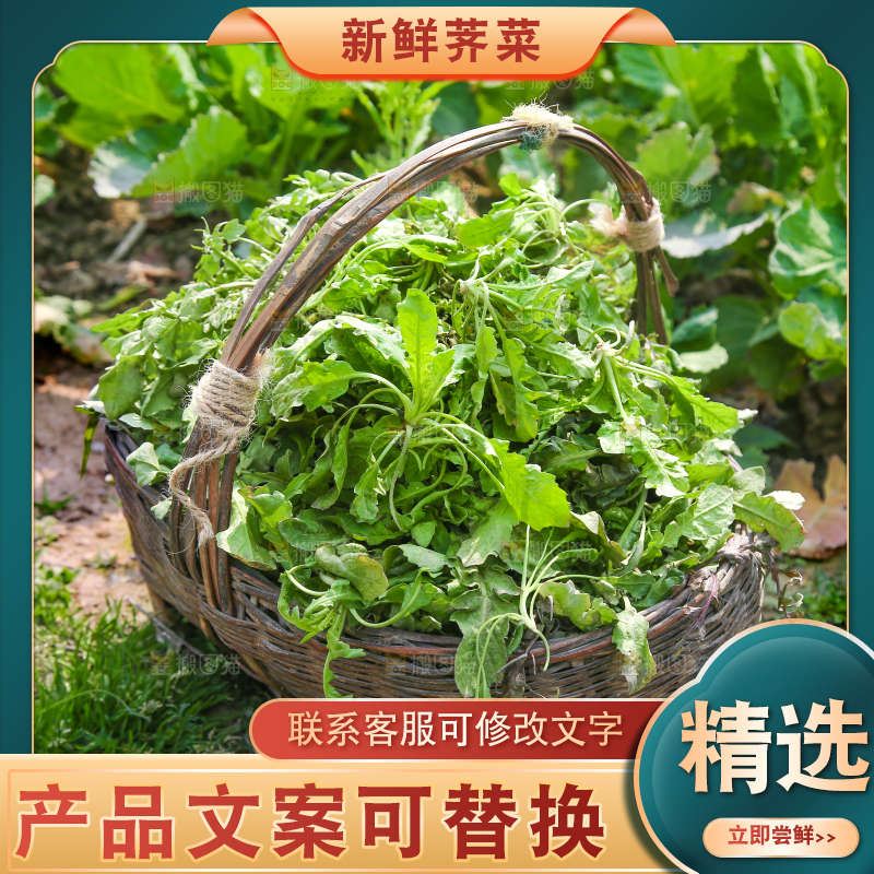 一篓野荠菜