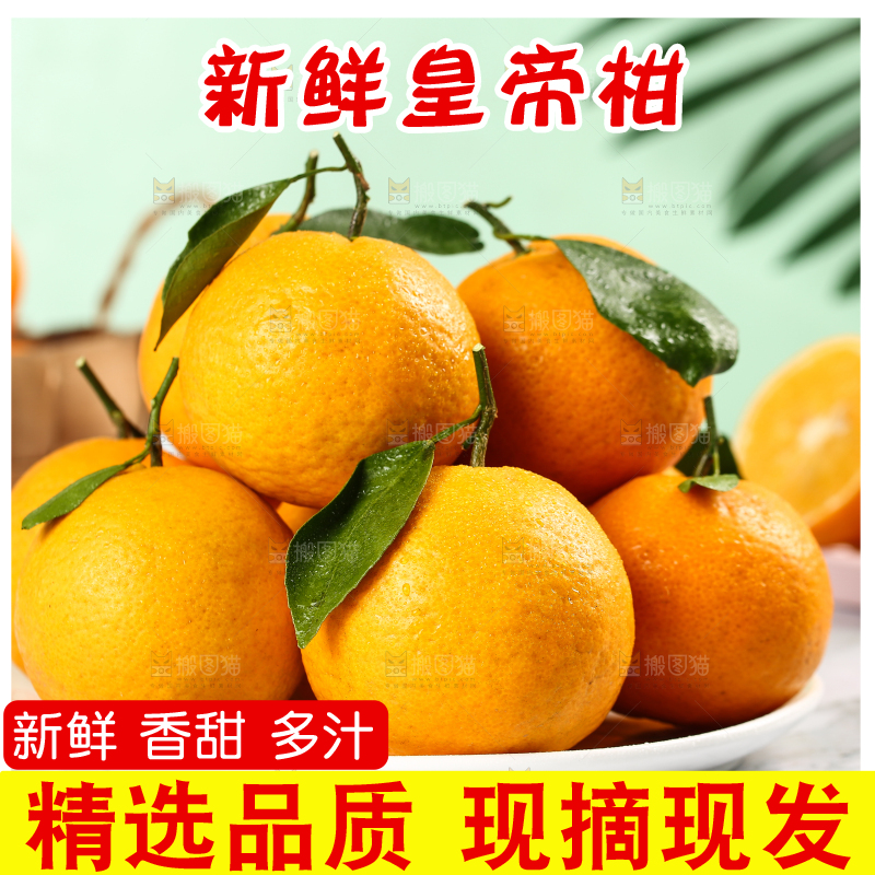 一盘新鲜皇帝柑