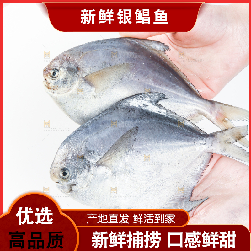 手里拿着鲳鱼