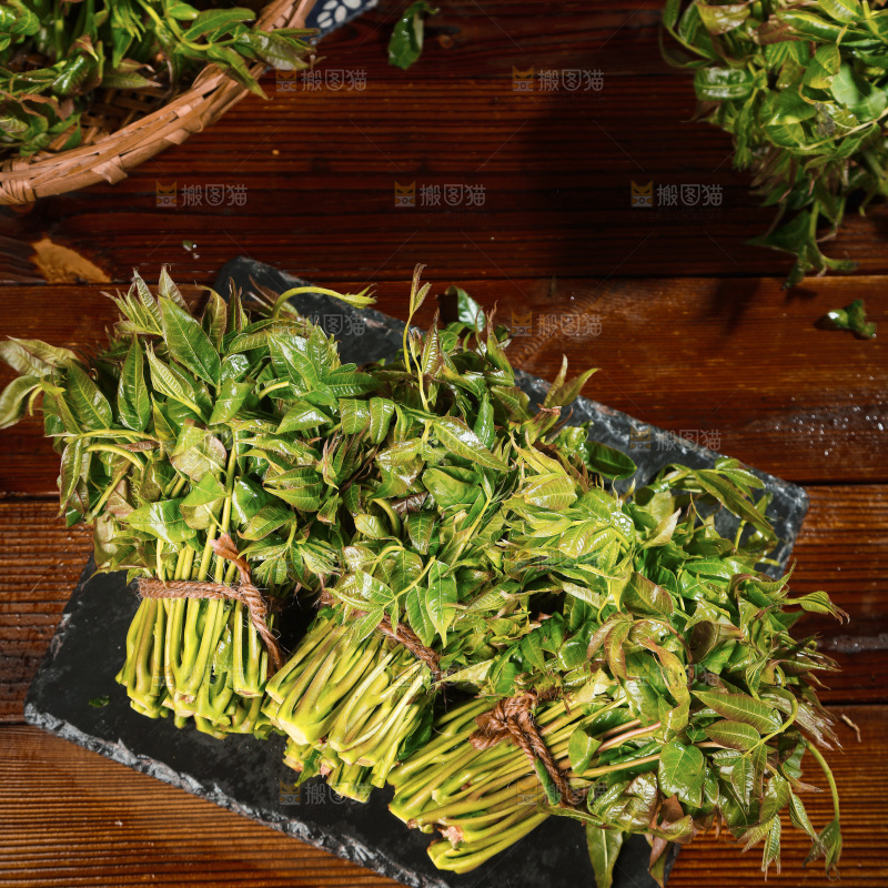 黑石底上摆放着香椿芽
