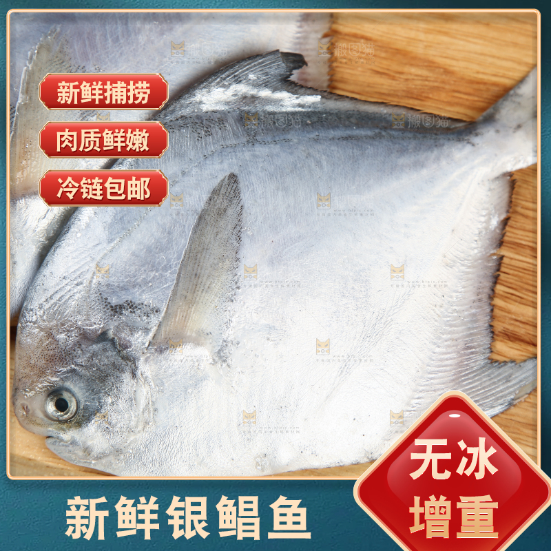 木板上摆放着银鲳鱼