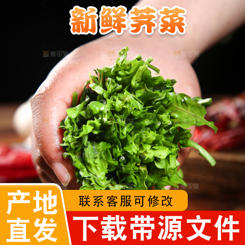手里拿着荠菜
