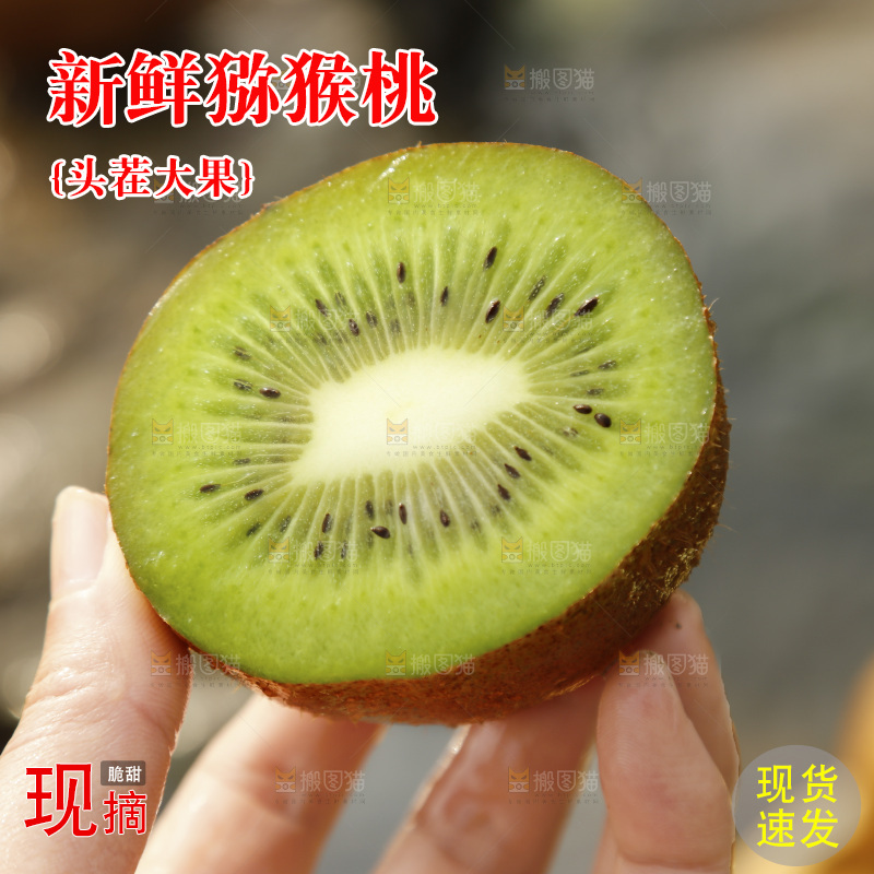 手里拿着绿心奇异果