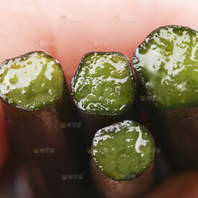 手里拿着蕨菜