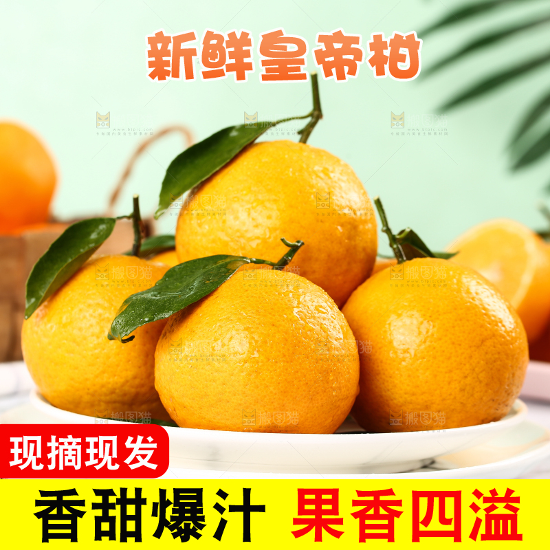 手里拿着皇帝贡柑