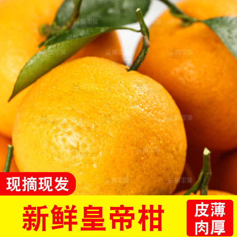 一盘新鲜皇帝柑
