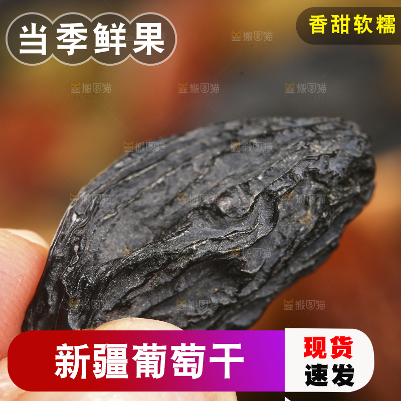 手里拿着黑加仑葡萄干