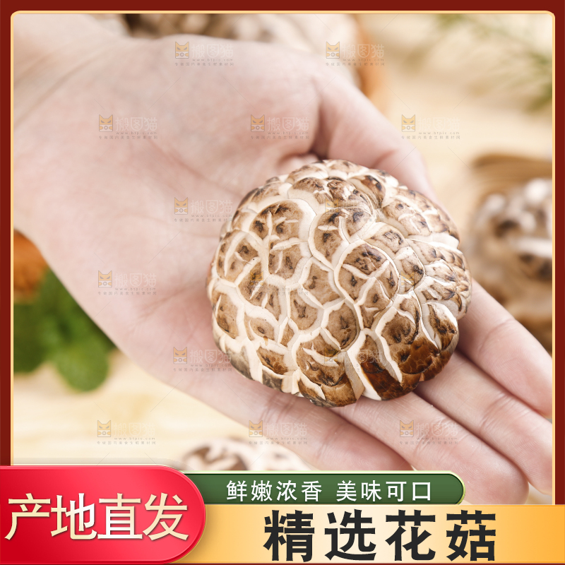 手里拿着冬菇