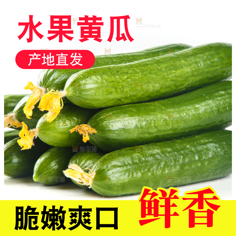 白底上放着一堆山东水果黄瓜