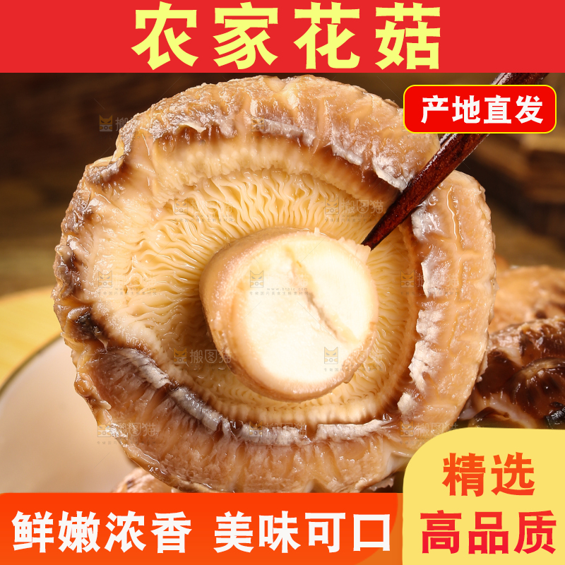 筷子上夹着椴木花菇