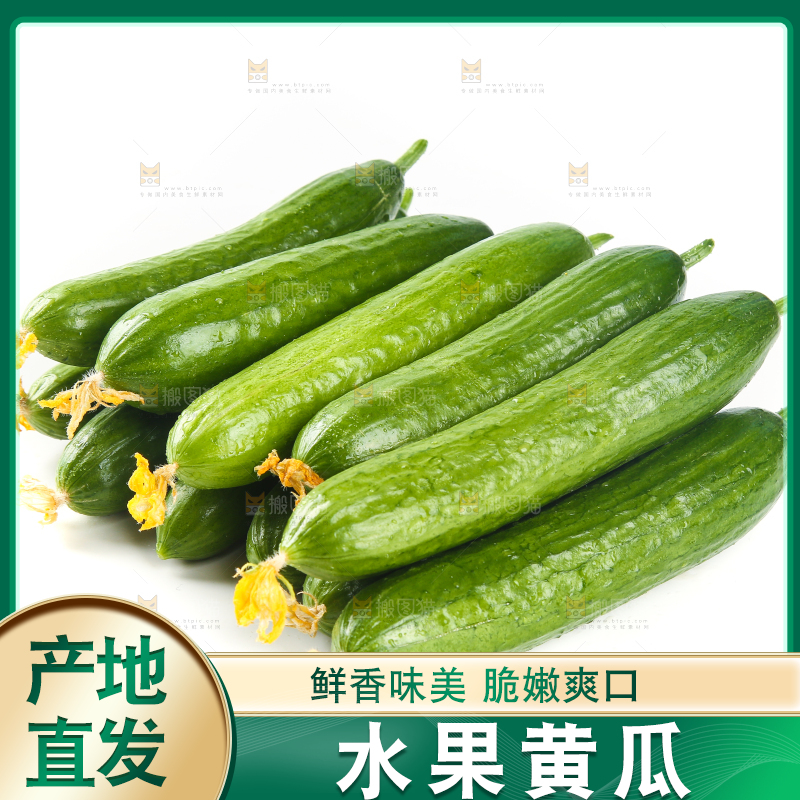 白底上放着一堆山东水果黄瓜