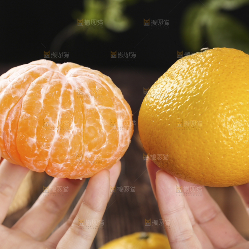 手里拿着桔柚果肉和橘柚对比