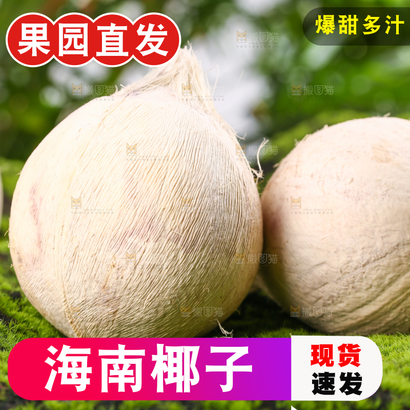 绿色草坪上的椰子