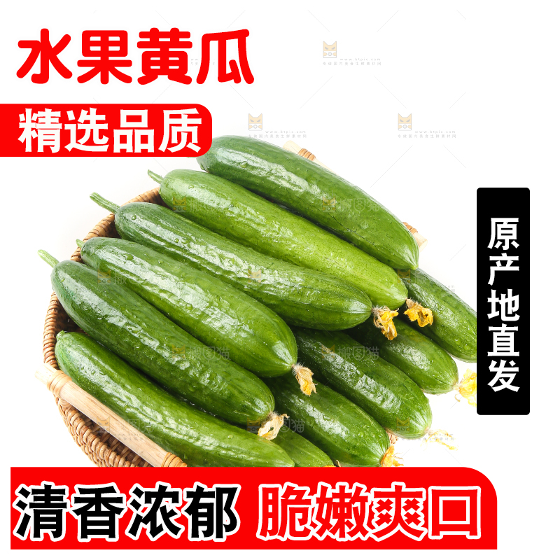 篮子里的无刺黄瓜