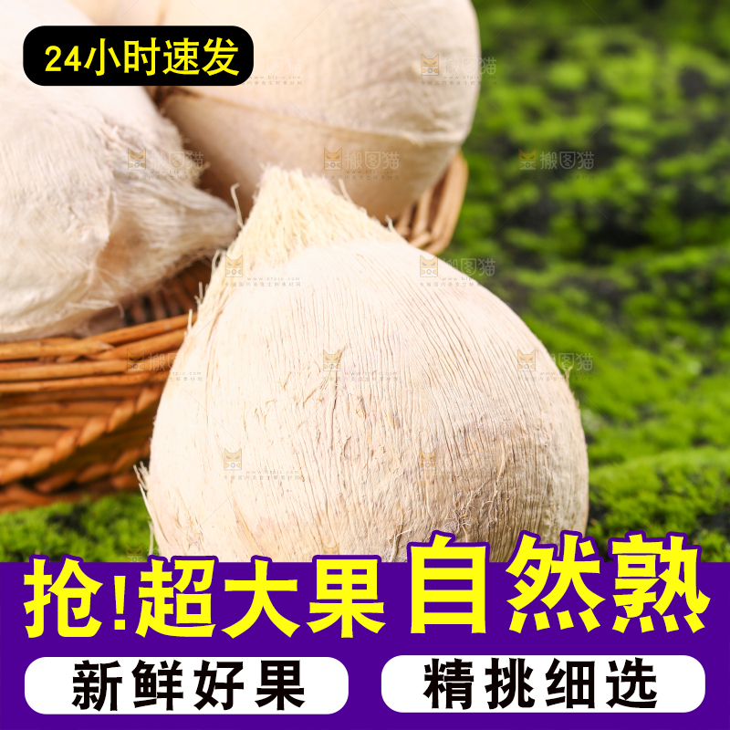 绿色草坪上的椰子