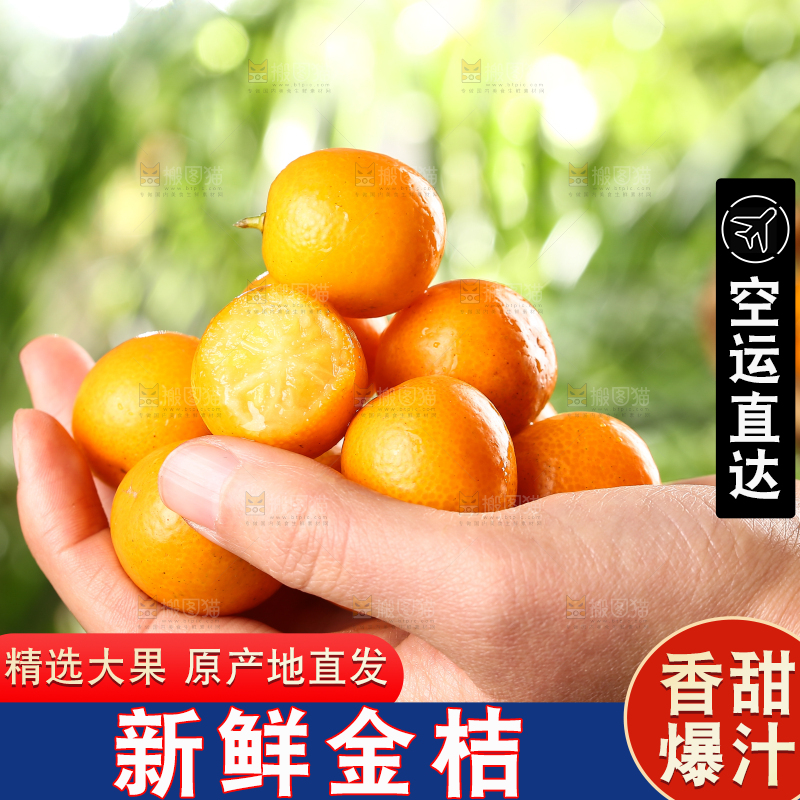 手里捧着金橘