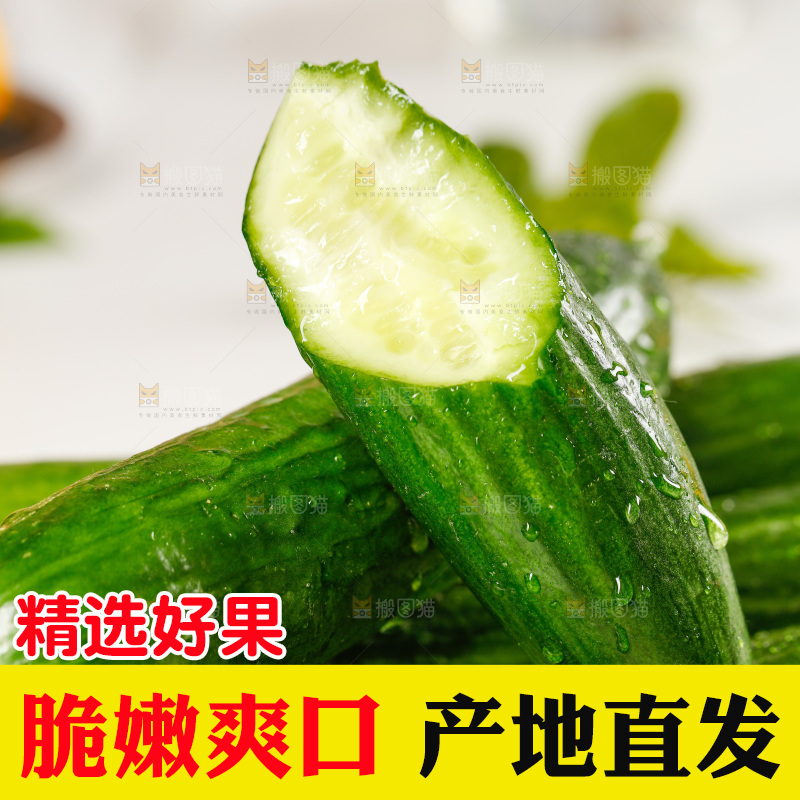 一堆新鲜的山东水果黄瓜
