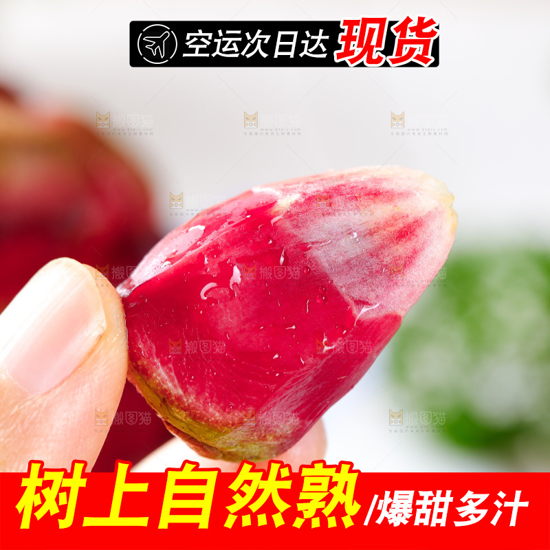 手里拿着长寿果果粒