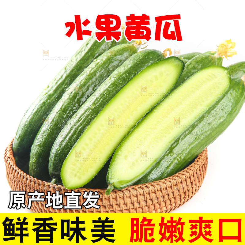 篮子里的无刺黄瓜