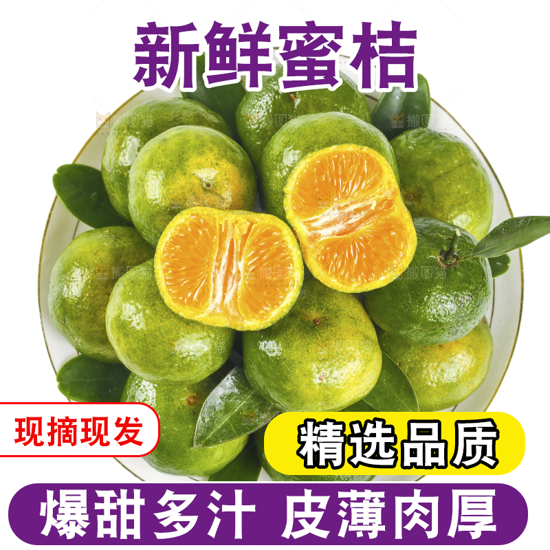 一盘广西清香蜜桔摆放在白底上
