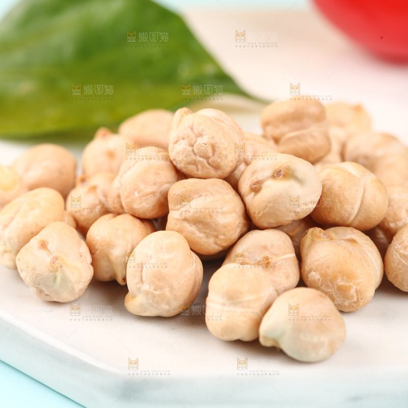 石垫上的新疆鹰嘴豆