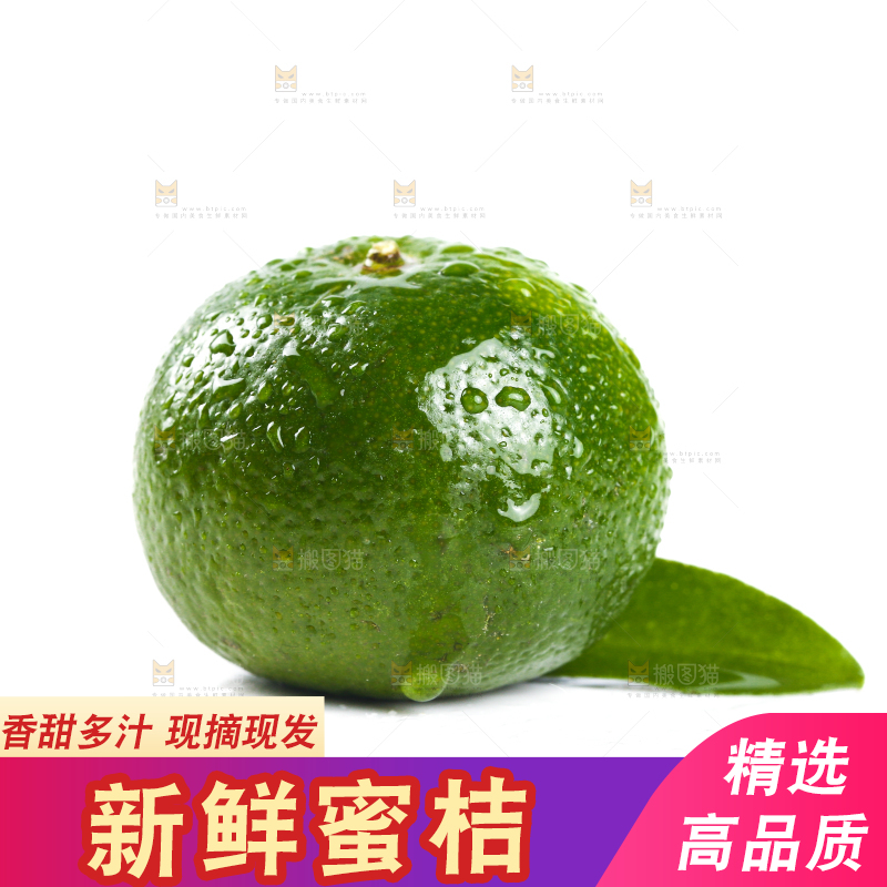 白底上的清香蜜橘