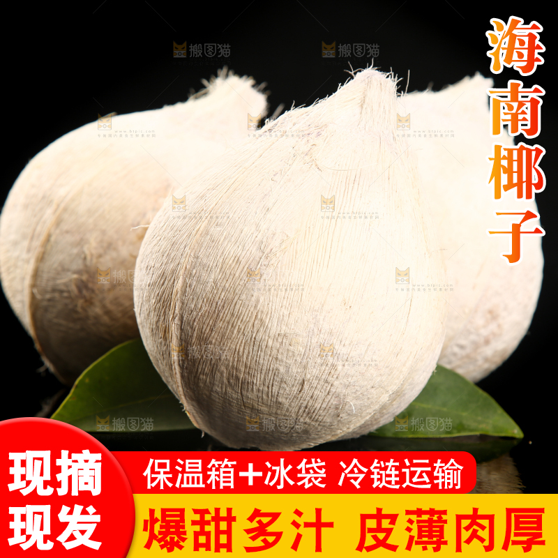 黑底上的牛奶椰子