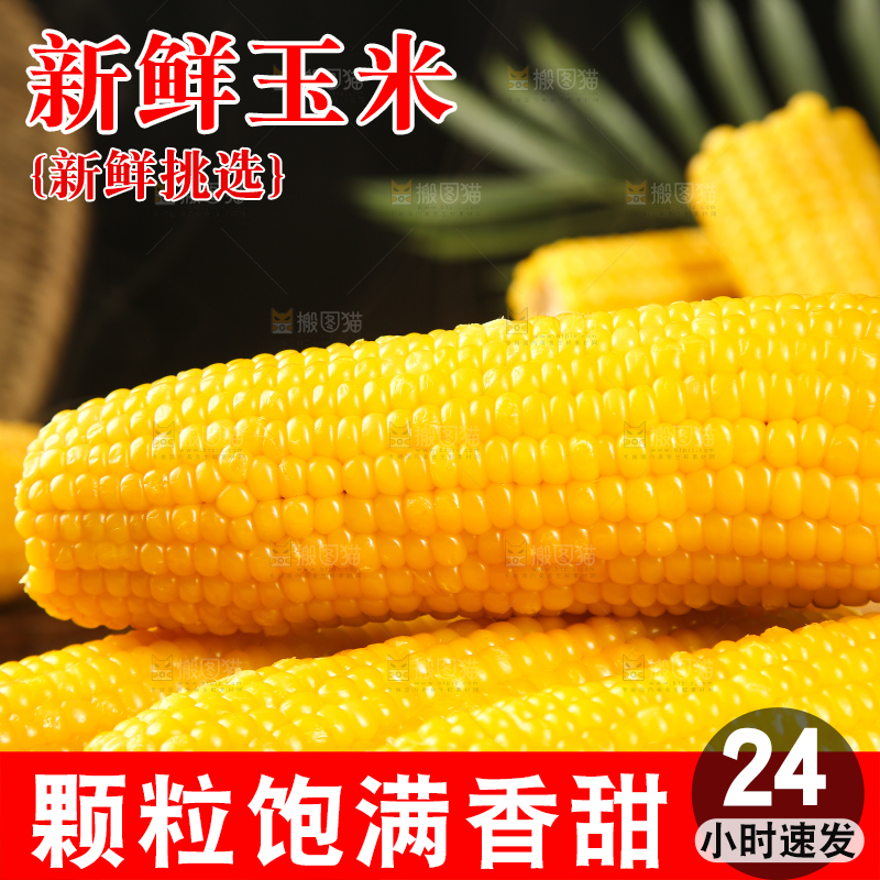 一堆玉米棒