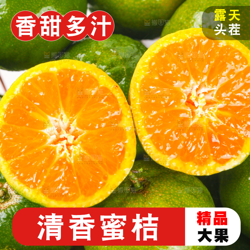 一堆新鲜清香蜜橘