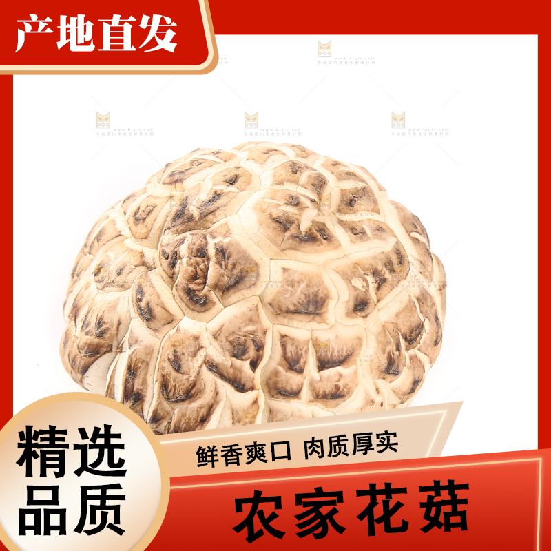 白底上放着花菇