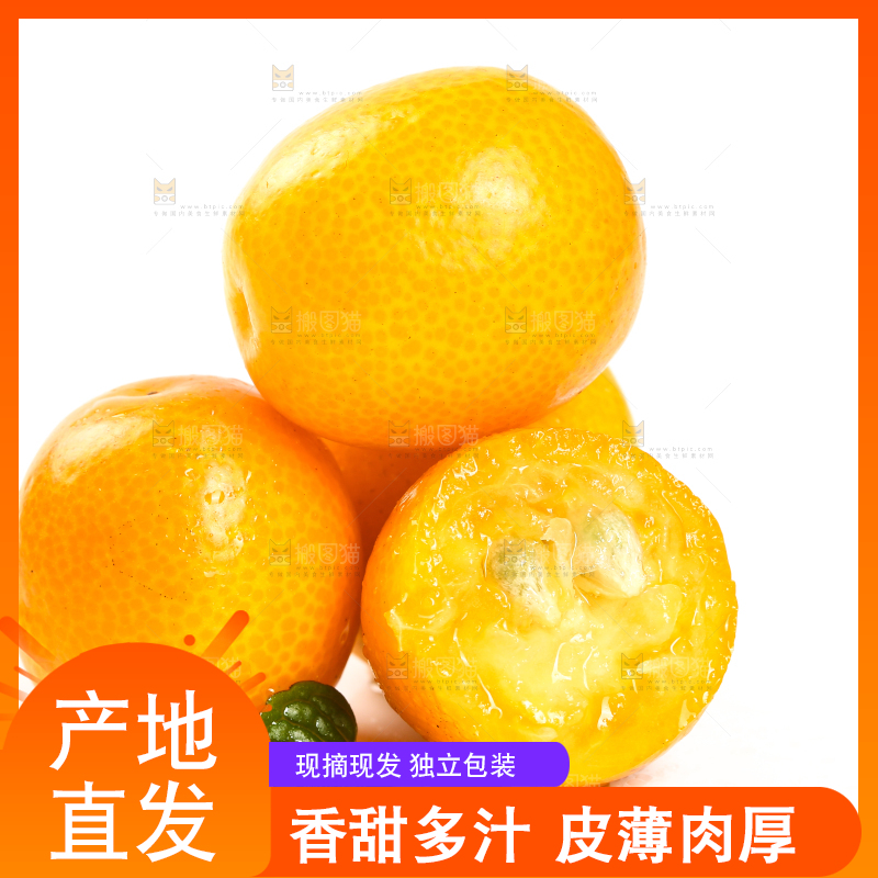 白底上放着黄皮金桔