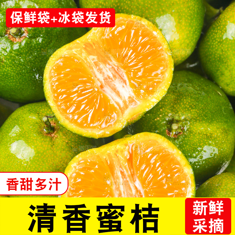 一堆新鲜清香蜜橘