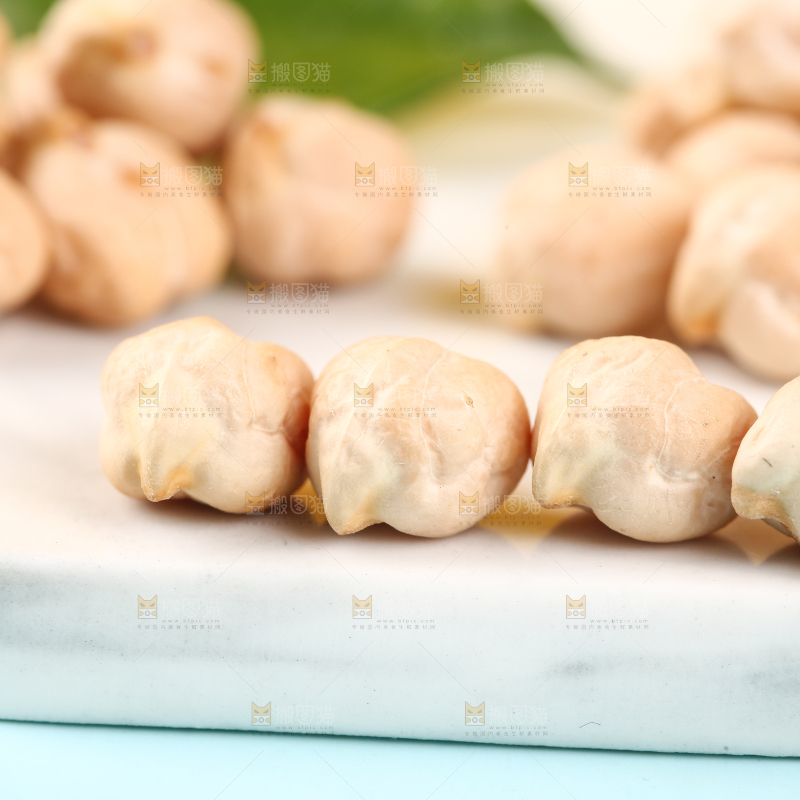 石垫上的新疆鹰嘴豆