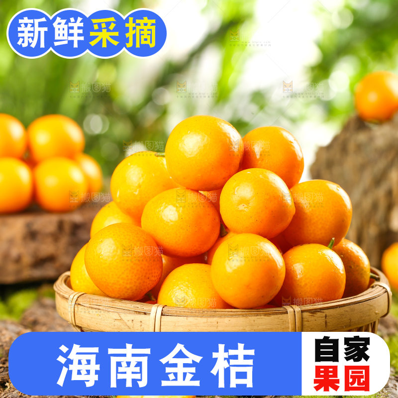 一篮黄皮金桔