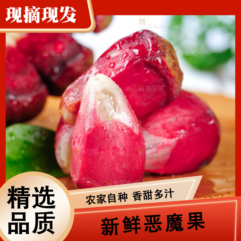 木底上的福娜里黑老虎