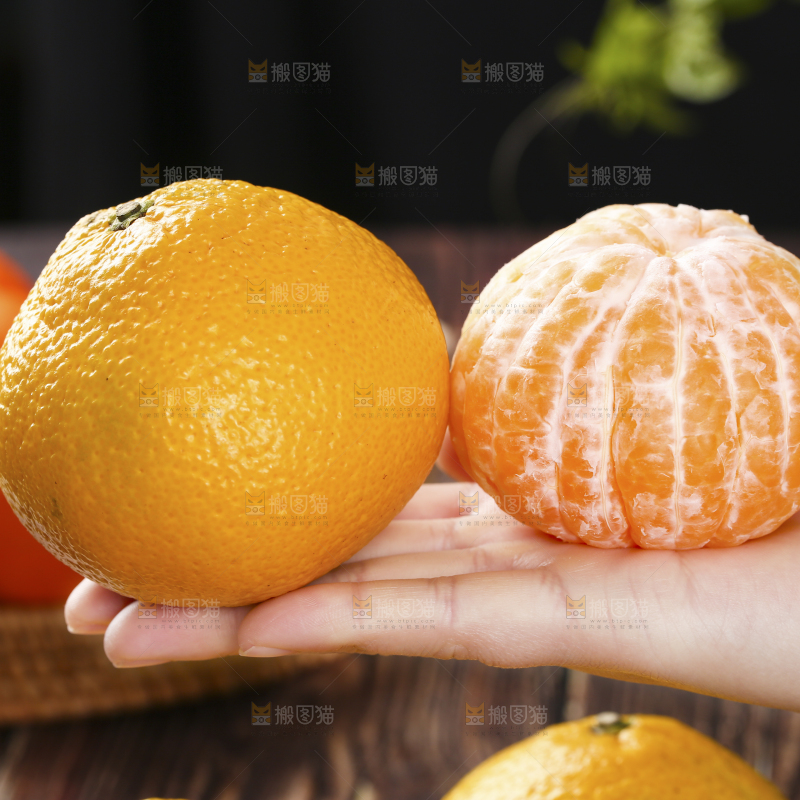 手里拿着桔柚果肉和橘柚对比