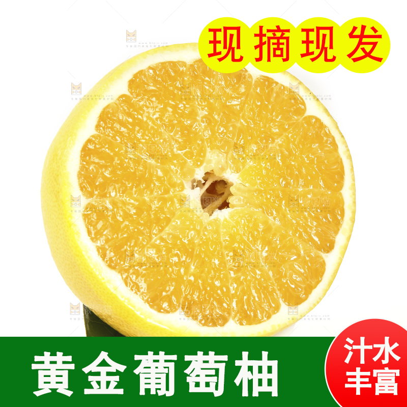 白底上的柚子