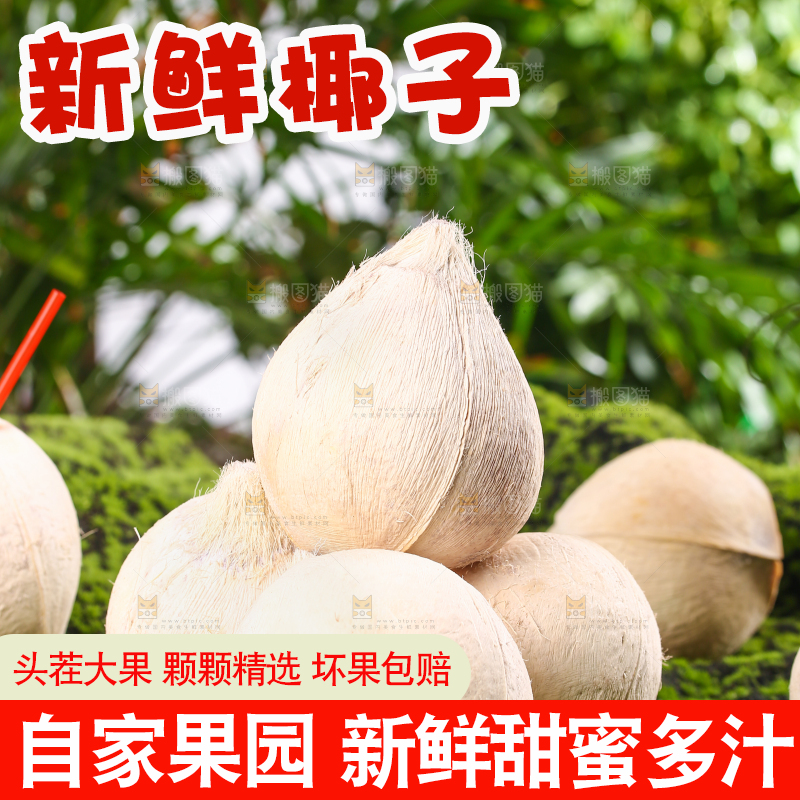 草坪上摆放着牛奶香椰