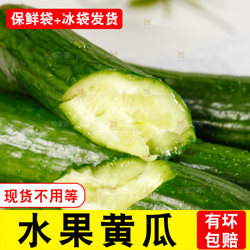 一堆新鲜的山东水果黄瓜