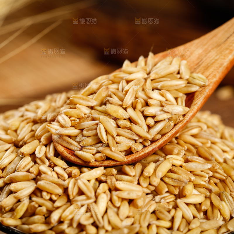 勺子上舀着燕麦仁