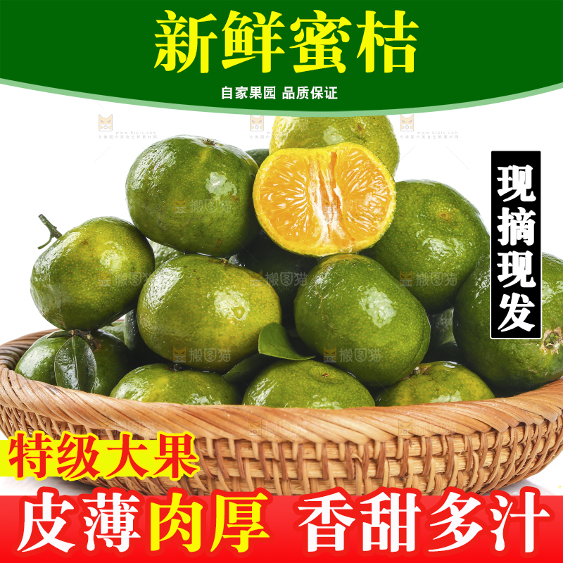 白底上摆放着一篮清香蜜桔
