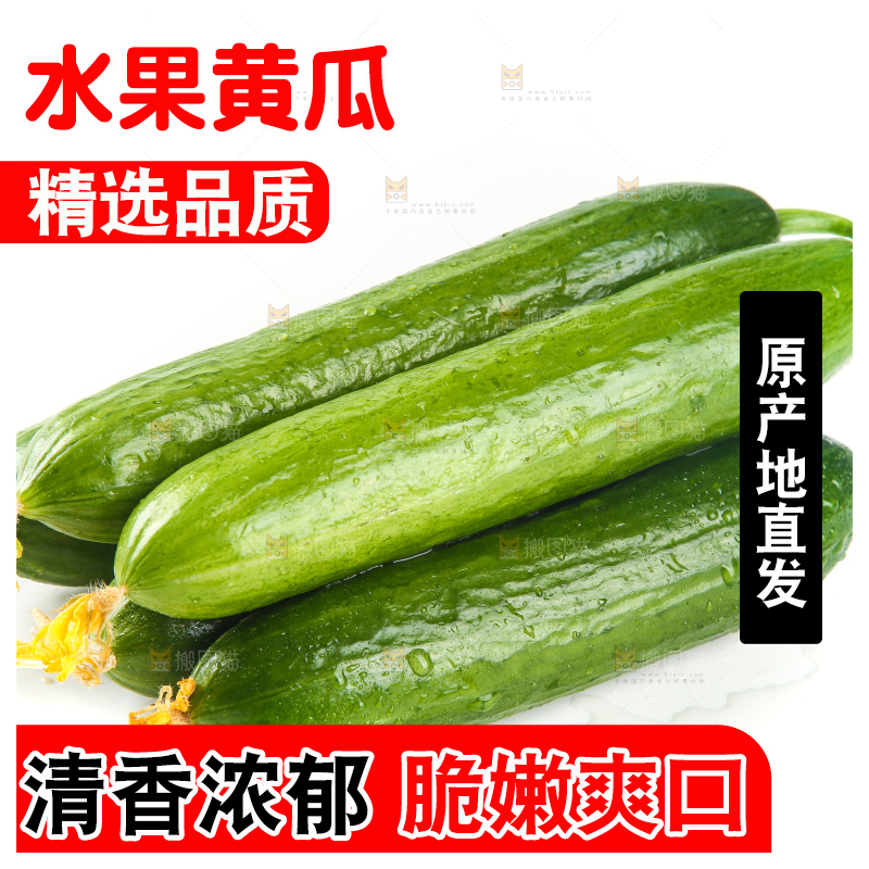 白底上放着一堆山东水果黄瓜