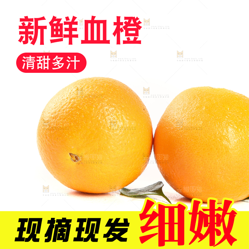 白底上的赣南玫瑰橙