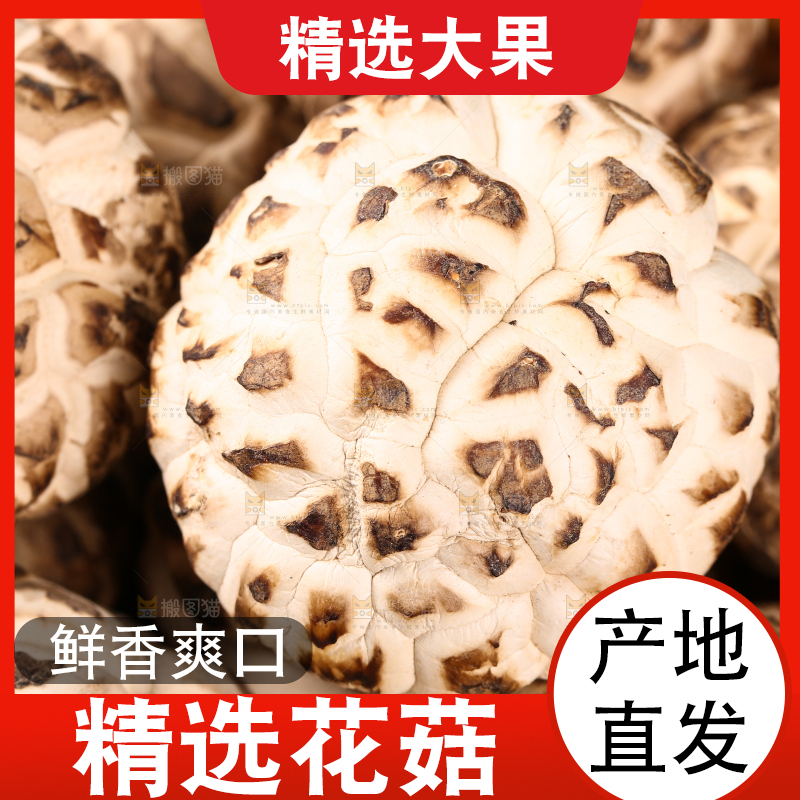 一堆东北椴木花菇