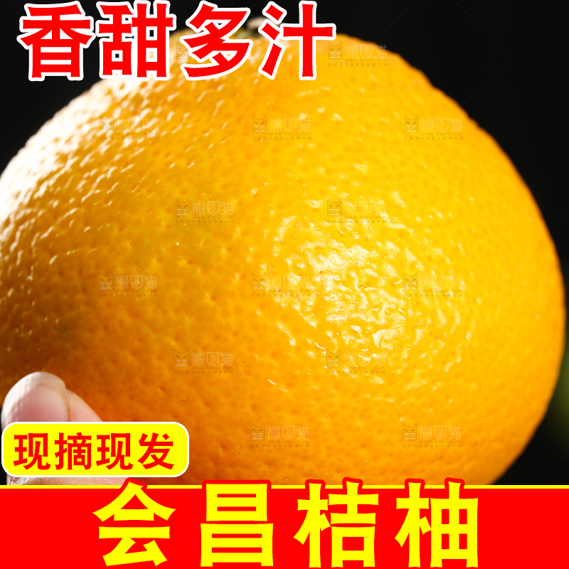 手里拿着橘柚