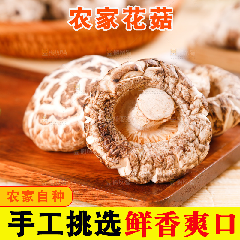 木底上放着东北椴木花菇